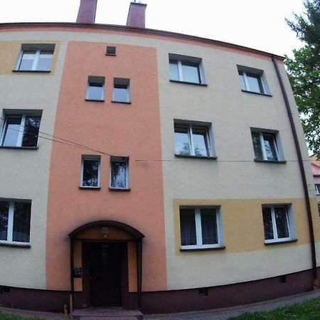 Studio Skarzyko Kamienna Lägenhet Skarżysko-Kamienna Exteriör bild